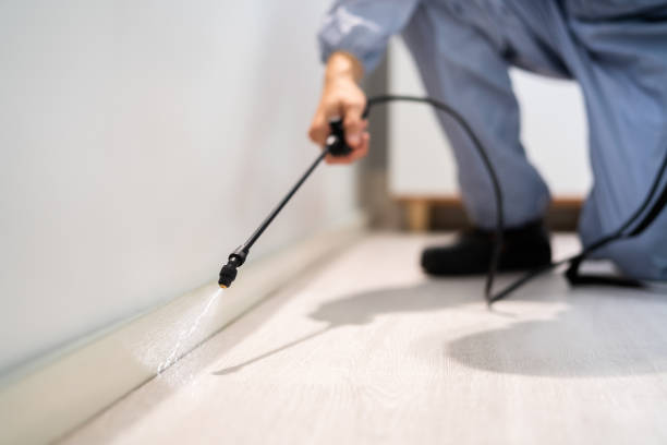 Licensed Termite Control service in McNary, AZ - Show Me Pest Control
